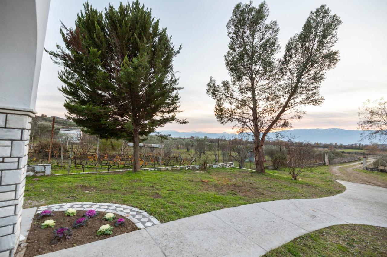 Τrικαλα - Μετεorα-Villa Toscana Trikala  Luaran gambar